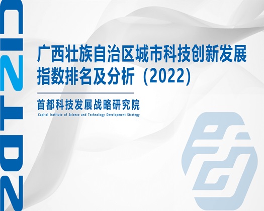 大胸美女插BB视频【成果发布】广西壮族自治区城市科技创新发展指数排名及分析（2022）